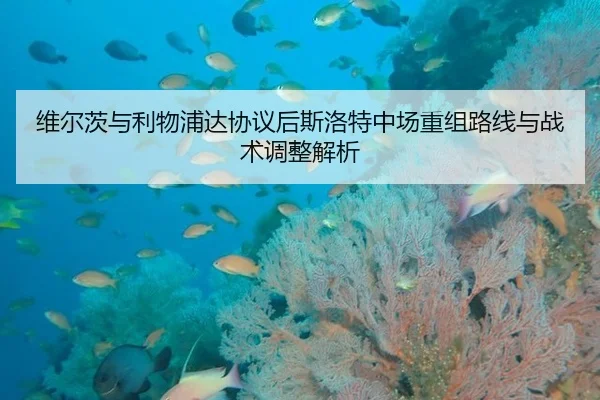 维尔茨与利物浦达协议后斯洛特中场重组路线与战术调整解析